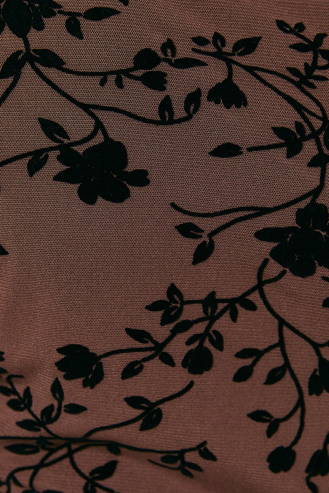 Floral Flocked Mesh Top
