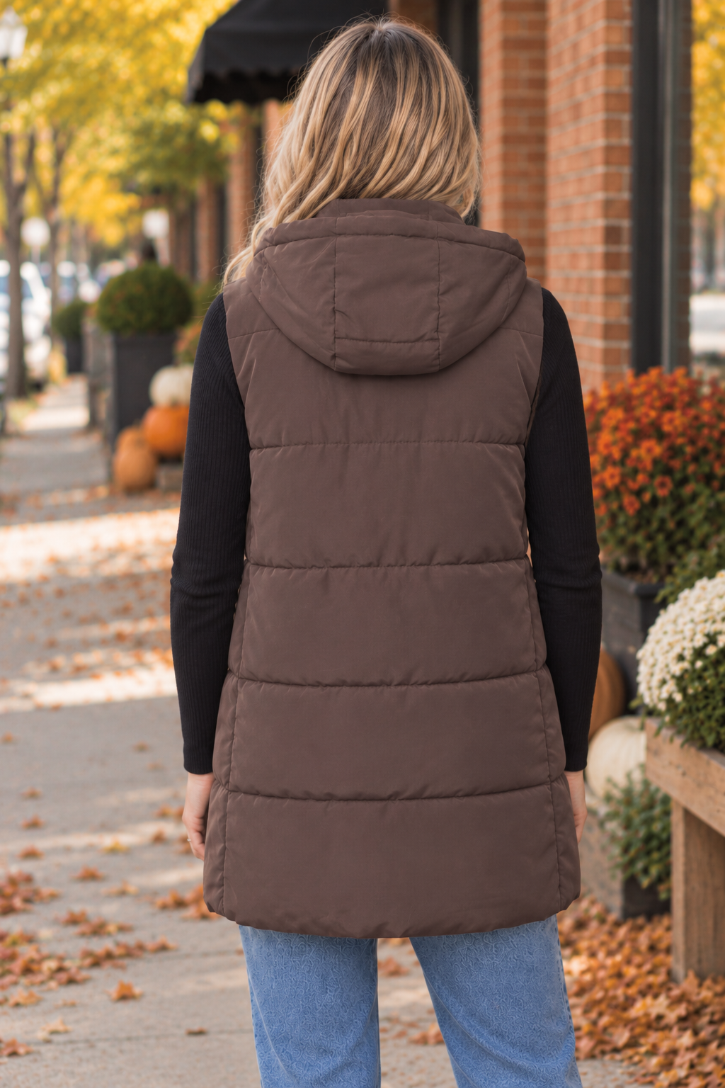 Hooded Puffer Vest DOORBUSTER