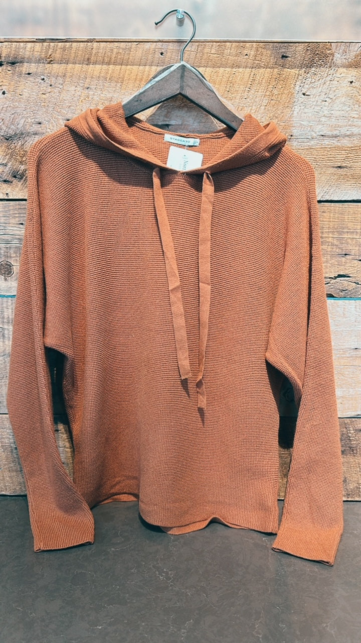 Left On Read Cropped Hoodie Sweater