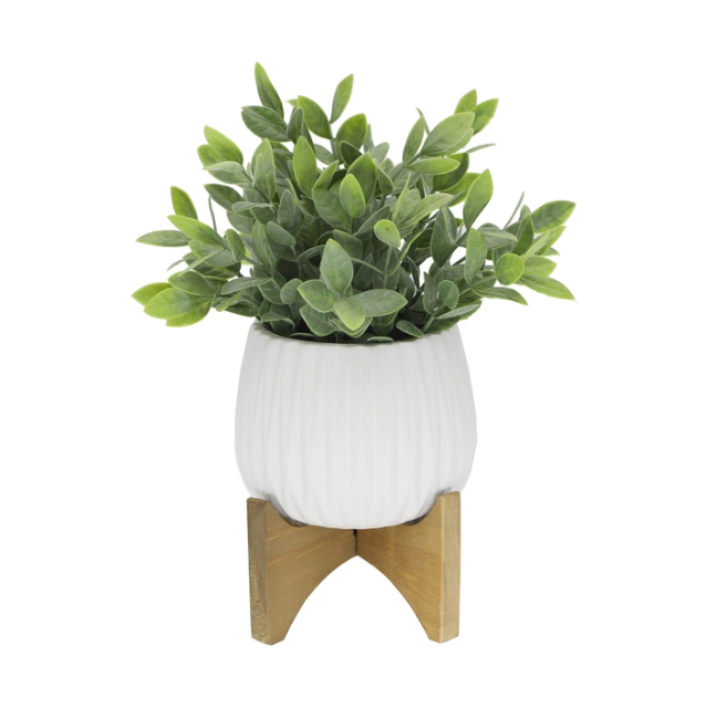 Tea Leaf in MTWH RIDGE pot on stand.